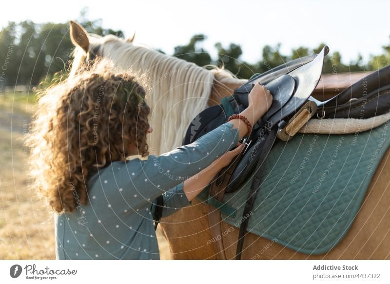 Frau legt den Sattel auf den Rücken eines Pferdes auf dem Lande Stute vorbereiten pferdeähnlich Tier Viehbestand domestiziert Bauernhof Reitschule Hengst Fauna