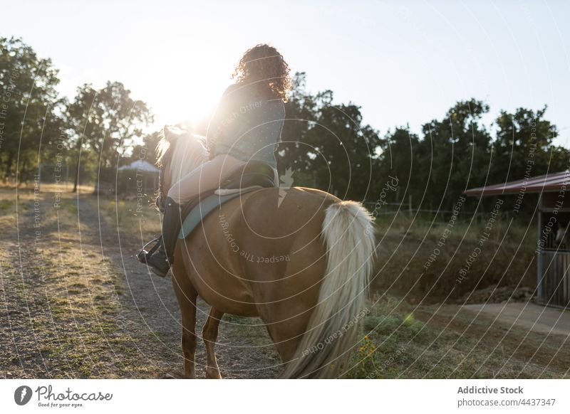 Anonyme Frau reitet auf trockenem Terrain gegen einen Bergrücken Mitfahrgelegenheit Pferd pferdeähnlich Tier Viehbestand Säugetier domestiziert Hochland