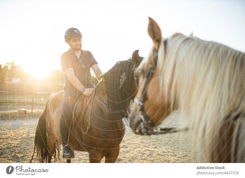 Unbekannte Frau mit Reitlehrer reitet Pferde auf der Koppel Mitfahrgelegenheit Ausbilderin pferdeähnlich Tier Viehbestand Sattelkammer Reitschule Mann