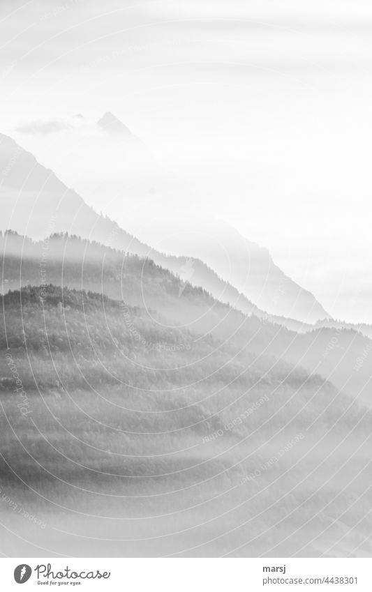 Dunstfelder vor den Bergen Berge u. Gebirge Gipfel ruhig Erholung Alpen Meditation Natur Landschaft Licht leuchten Freiheit harmonisch Morgen träumen Urelemente