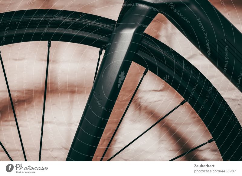 Gabel und Vorderrad eines Rennrads vor Wand Felge Speichen Karbon dunkelgrau Sport Fahrrad Radfahren abstrakt Halbkreis Reifen Fahrradfahren Fahrradreifen