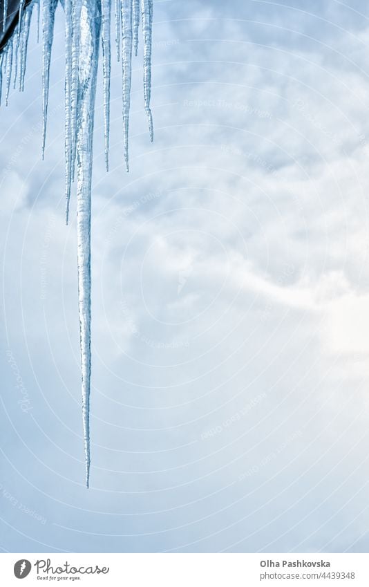 Riesiger spitzer Eiszapfen, umgeben von einigen kleineren Eiszapfen stechend dick Risiko Gefahr Frost groß riesig Riese Linie Reihe Textfreiraum Raum Kopie