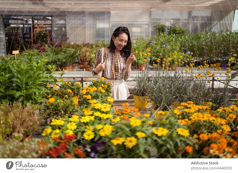 Lächelnde asiatische Käuferin bei der Auswahl blühender Blumen in einem Gartengeschäft pflücken Blütezeit natürlich Pflanze vegetieren Frau Werkstatt Botanik