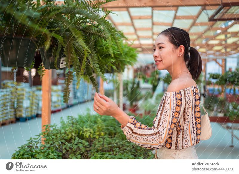Asiatischer Einkäufer mit Einwegmaske pflückt Farn in einem Gartengeschäft Käufer pflücken Wurmfarn Topf Botanik Gesundheitswesen Frau Zentrum Pflanze Laden