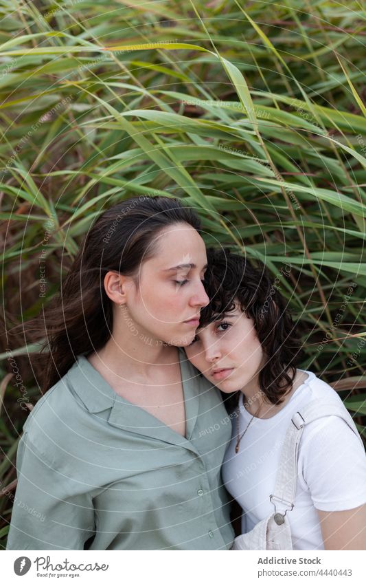 Lesbisches Paar steht in der Nähe von Pflanzen Freundin gleichgeschlechtlich Partnerschaft Liebe romantisch Zeit verbringen Wochenende Landschaft Frauen