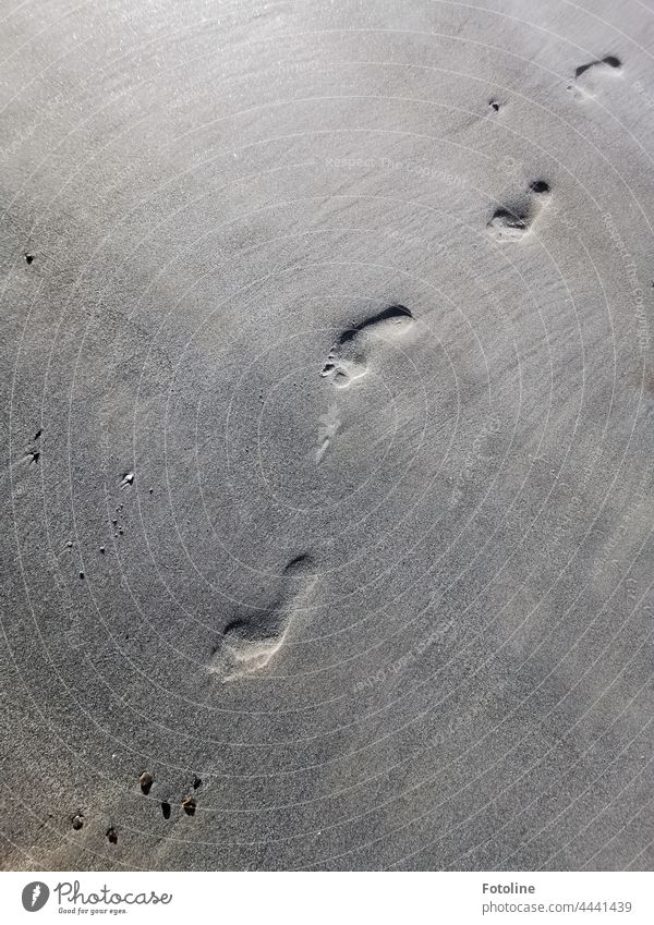 Spuren im Sand am Strand laufen diagonal Fußabdruck Fußspur Fußspuren Außenaufnahme Tag Menschenleer grau Strandsand Tageslicht Detailaufnahme detailliert