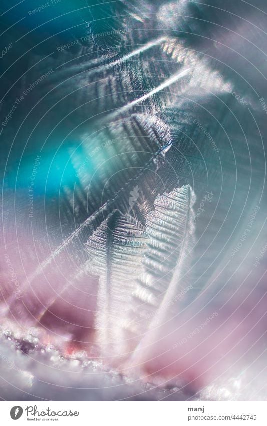 Kristallstrukturen auf einer gefrorenen Seifenblase. ruhig gigantisch authentisch leuchten Frost Eis Kunst Meditation Erfolg harmonisch dünn