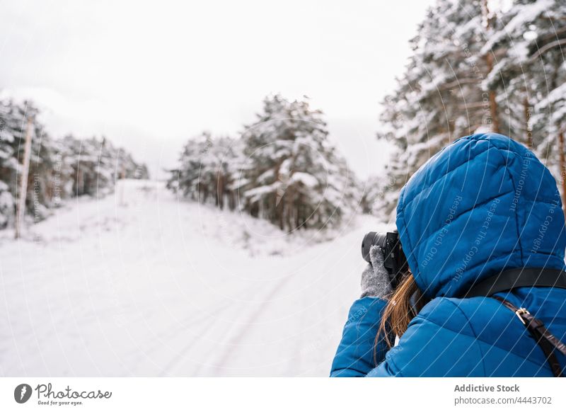 Frau fotografiert mit Fotokamera im Winterwald fotografieren Fotoapparat Schnee einfangen Natur kalt Wald Hobby Oberbekleidung warme Kleidung Frost jung Wälder