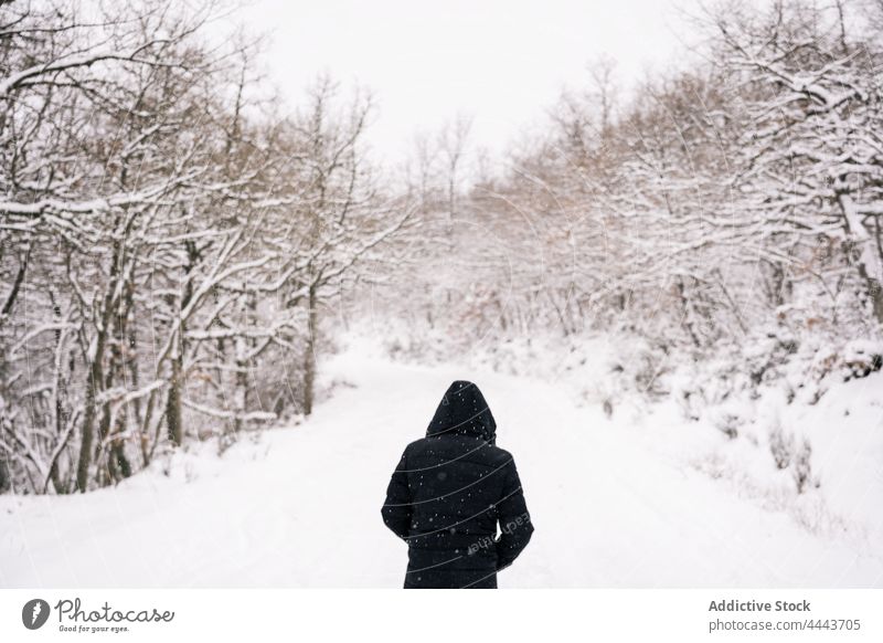 Anonyme Person in warmer Oberbekleidung, die bei Tageslicht in einem verschneiten Wald spazieren geht Saison Reisender warme Kleidung Spaziergang Natur Schnee