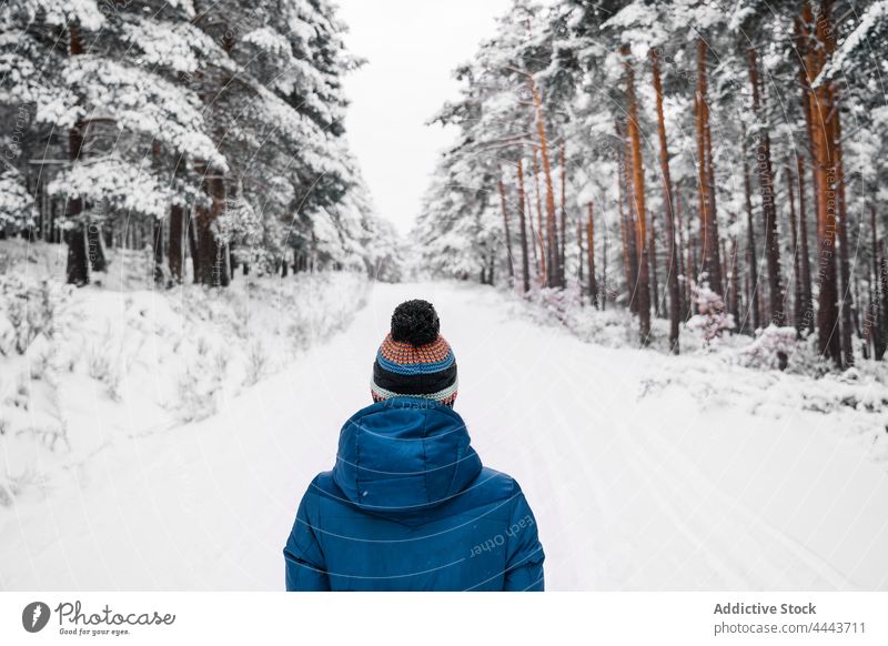 Frau in warmer Oberbekleidung, die bei Tageslicht in einem verschneiten Wald spazieren geht Saison Reisender warme Kleidung Spaziergang Natur Schnee Winterzeit