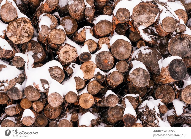 Stapel von Baumstämmen auf verschneitem Boden Totholz Haufen Brennholz Nutzholz Winter Schnee Natur Ressource Industrie Holz wolkig Umwelt kalt Hügel