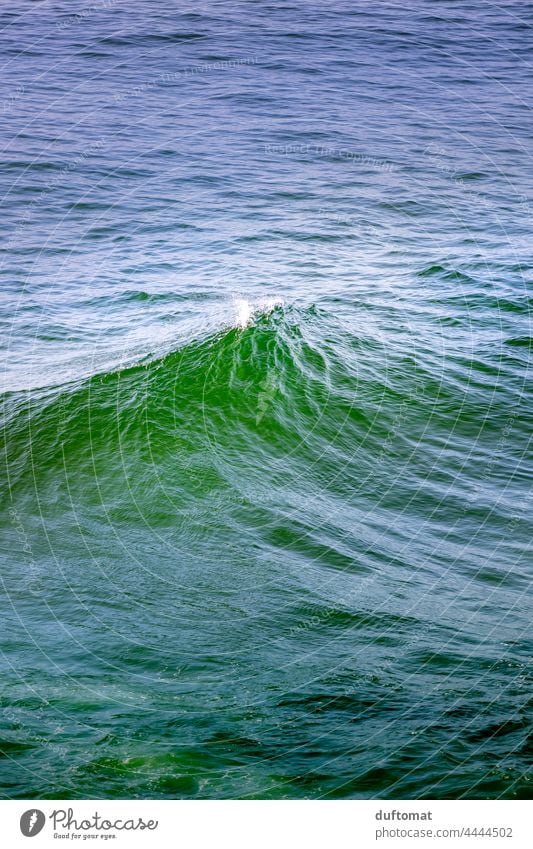 Grüne Welle bricht an blauem Meer grün Sommer wasser Ozean Urlaub Natur Wasser Küste Ferien & Urlaub & Reisen Wellen Tourismus Erholung Freiheit wogend Flut