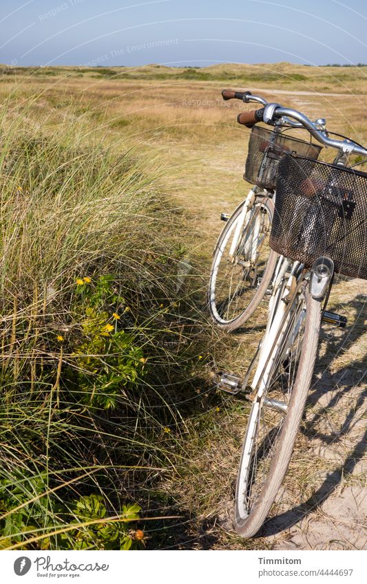 Mit dem Fahrrad ran an die Düne Fahrradfahren Ebene Heide Wege & Pfade Himmel blau Schatten Gräser grün Dänemark abgestellt Sand Fahrradkorb Menschenleer