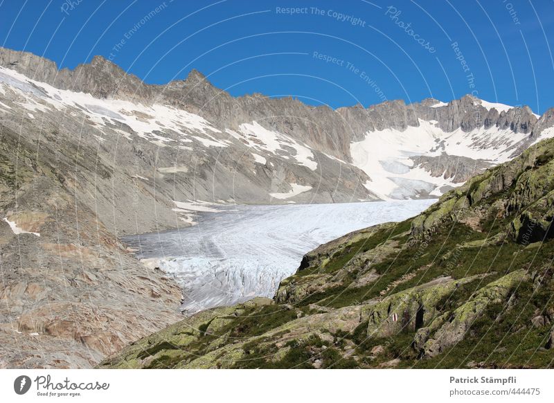Rhonegletscher (VS) Natur Landschaft Himmel Wolkenloser Himmel Sommer Klima Klimawandel Schönes Wetter Felsen Alpen Berge u. Gebirge Gletscher Abenteuer