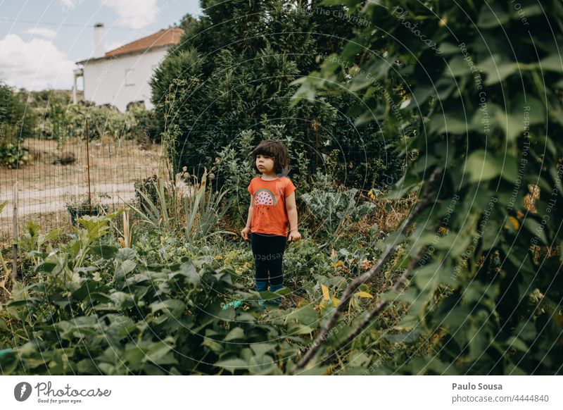 Mädchen im Garten stehend niedlich Kind 1-3 Jahre Kaukasier Gemüse Lifestyle Tag Kindheit Mensch Natur Fröhlichkeit Glück Farbfoto Freizeit & Hobby zu Hause