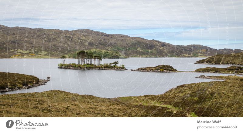 lost landscape Ferien & Urlaub & Reisen Ausflug Abenteuer Freiheit wandern Natur Landschaft Hügel Insel See Loch Assynt Großbritannien Schottland Europa ruhig