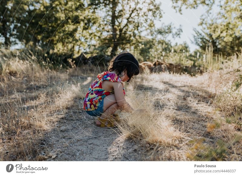Niedliches Mädchen pflückt Wildblumen niedlich 3-8 Jahre Kaukasier Kind Kindheit Kommissionierung Blume Natur authentisch Sommer Sommerurlaub reisen Feiertag