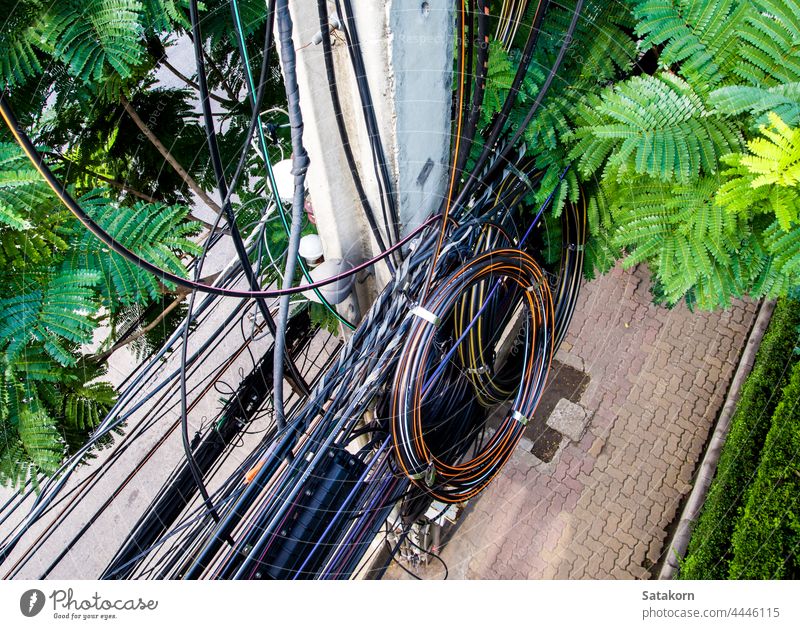 Strom- und Kommunikationskabel an den Strommasten und Bäumen daneben elektrisch Kabel Mast Baum grün Kraft Netzwerk Mitteilung Elektrizität Draht Blatt Linie