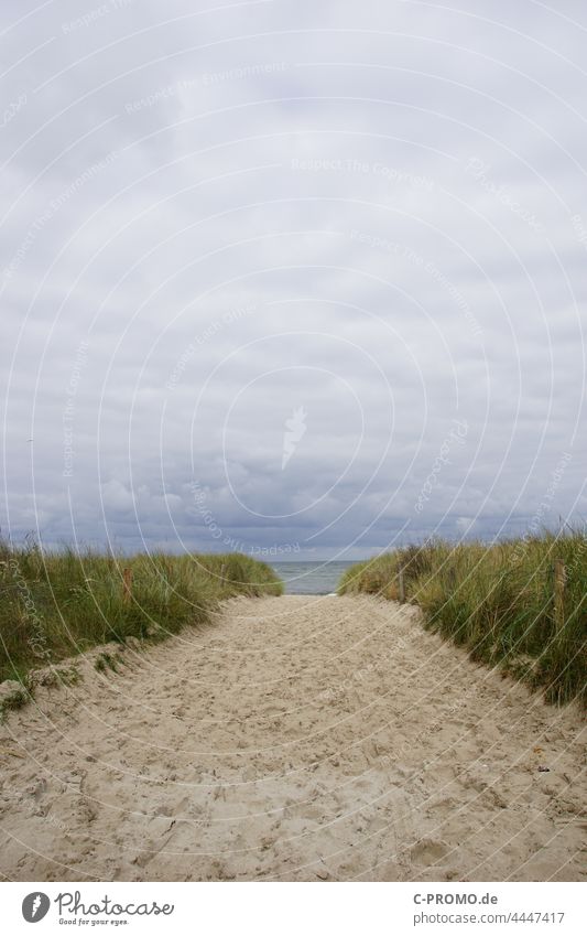 Strandaufgang Kühlungsborn Düne Dünengras Strandsand Sand Himmel Meer Menschenleer Ostsee Wolken bewölkt bewölkter himmel