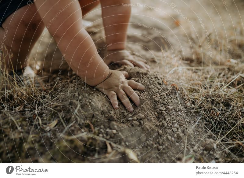 Close up Kind Hände spielen mit Erde Kindheit Nahaufnahme Hand Spielen Boden erkunden Neugier Natur Umwelt Fröhlichkeit Freude Außenaufnahme Farbfoto 1-3 Jahre