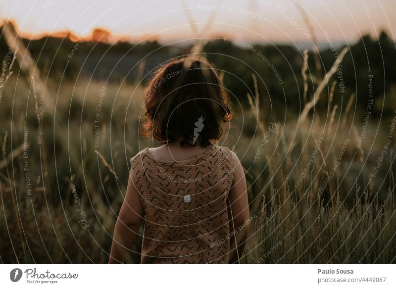 Rückansicht Mädchen auf den Feldern Kind 1-3 Jahre Kaukasier Sommer Sommerurlaub Sonnenuntergang Abenddämmerung Ferien & Urlaub & Reisen Natur Tag Kindheit