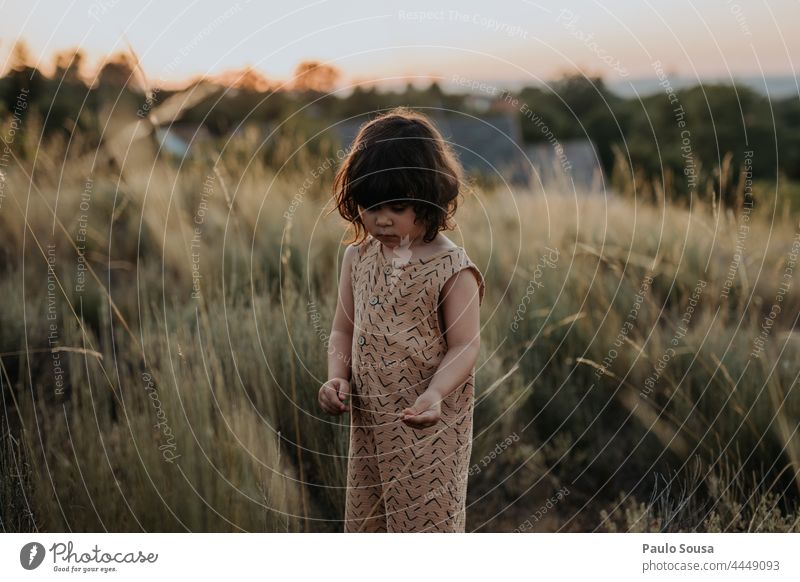 Niedliches Mädchen in den Feldern stehend Sonnenuntergang Abenddämmerung Kind Kindheit 1-3 Jahre Kaukasier Glück Fröhlichkeit Tag niedlich Mensch Außenaufnahme
