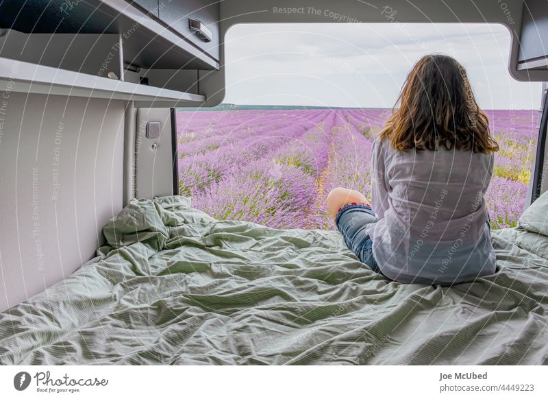 Frau betrachtet Lavendelfelder von einem Wohnmobil aus Überfluss Ackerbau Aromatherapie Rücken Bett Überstrahlung bunt Essenz Feld Bereiche Blume Duft Wachstum