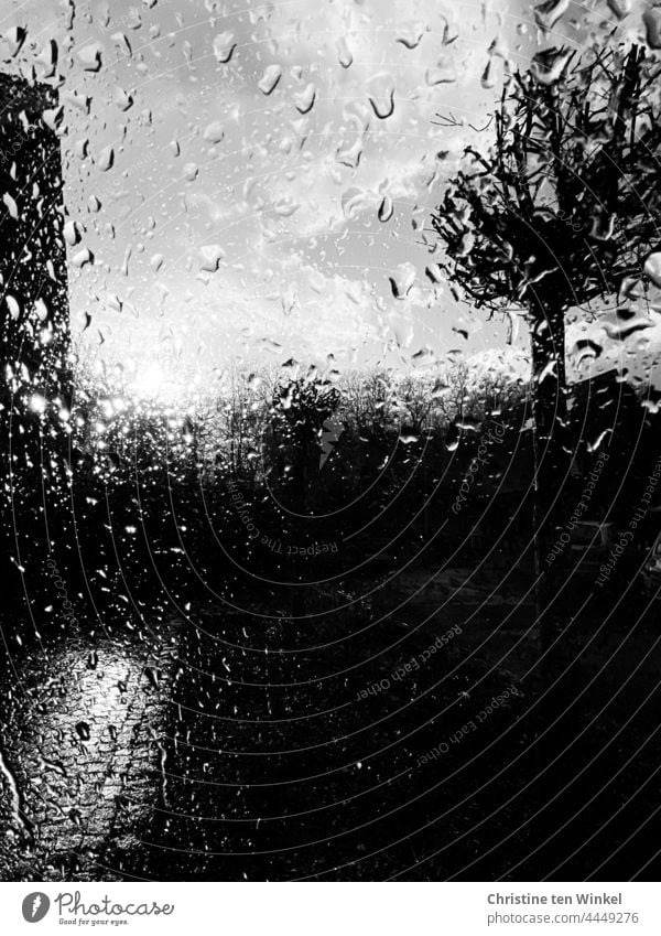 Blick durch die nasse Fensterscheibe bei trübem Regenwetter auf einen kahlen Baum und einen gepflasterten Weg Spiegelung Nässe düster Baumkrone kahler Baum