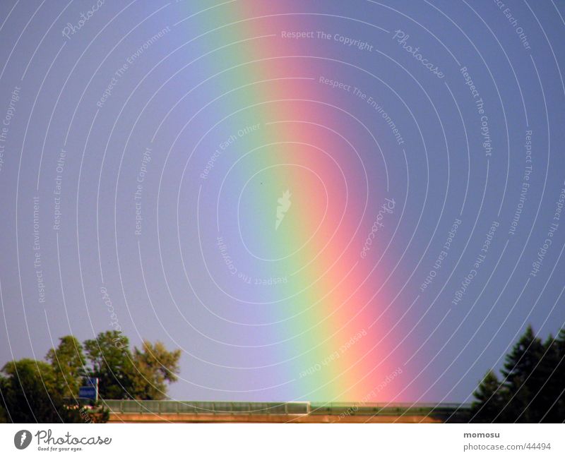 den regen gebogen Regenbogen Naturphänomene Baum mehrfarbig Bogen Himmel Farbe