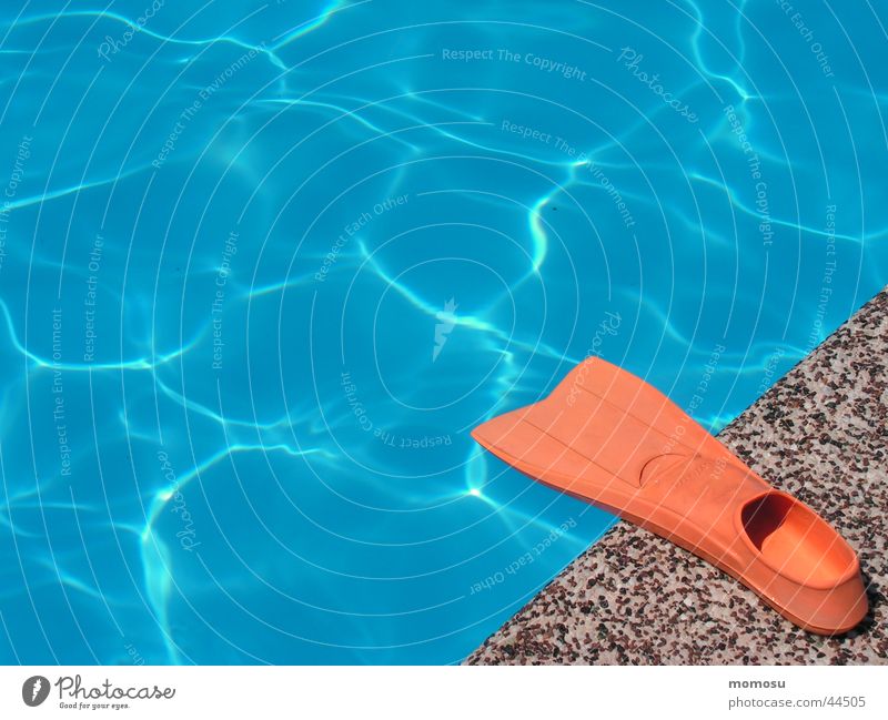am Beckenrand Schwimmbad Sommer Ferien & Urlaub & Reisen Physik nass Sport Schwimmhilfe Wasser Wärme Schwimmen & Baden