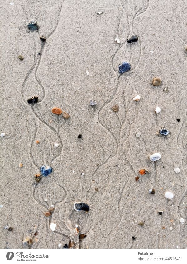 Am Strand auf der Düne Helgoland fand ich nicht nur Strandschätze, sondern auch Bildschätze. Wie hier, wo die Natur mit Steinchen und Prielen ein wundervolles Kunstwerk erschuf.