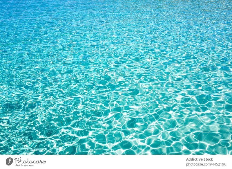 Glänzendes Meerwasser mit Kräuseln im Sonnenlicht MEER Wasser Rippeln Hintergrund glänzend Natur Landschaft rein wellig türkis Ton blau abstrakt hell Farbe