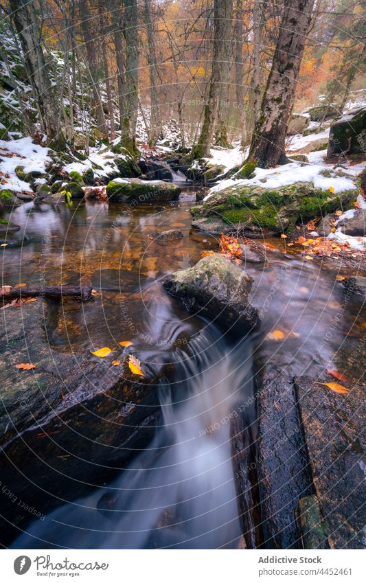 Kalter Fluss im verschneiten Wald Schnee kalt Herbst Saison schnell Wasser strömen Natur cool Wetter Landschaft fallen idyllisch Harmonie Gelassenheit Winter