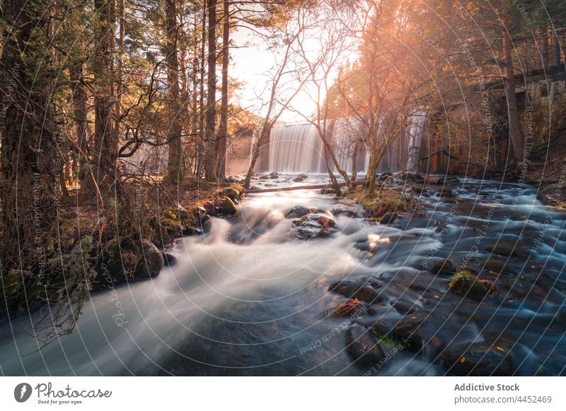 Wasserfall, der bei Tageslicht durch einen Herbstwald fließt strömen Fluss fließen Wald Natur malerisch Umwelt sierra de guadarrama Spanien Landschaft Stein