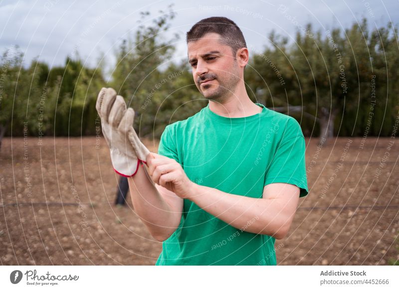 Gärtner, der einen Handschuh auf einem Grundstück auf dem Land anzieht angezogen vorbereiten achtsam natürlich behüten Gelände Landschaft Mann Umwelt Fokus