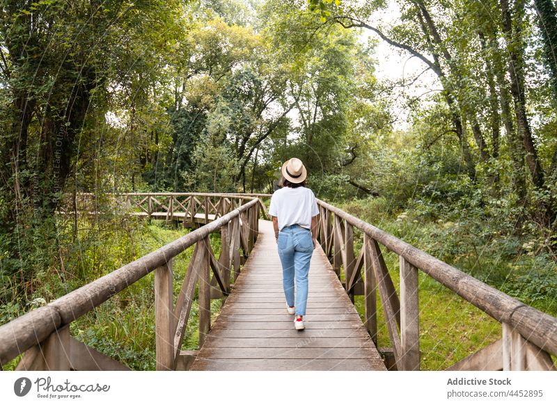 Frau betrachtet grüne Bäume von einer Fußgängerbrücke im Sommer Spaziergang Steg Baum anonym nachdenken Natur Landschaft Umwelt Ökologie Route Regie Zaun