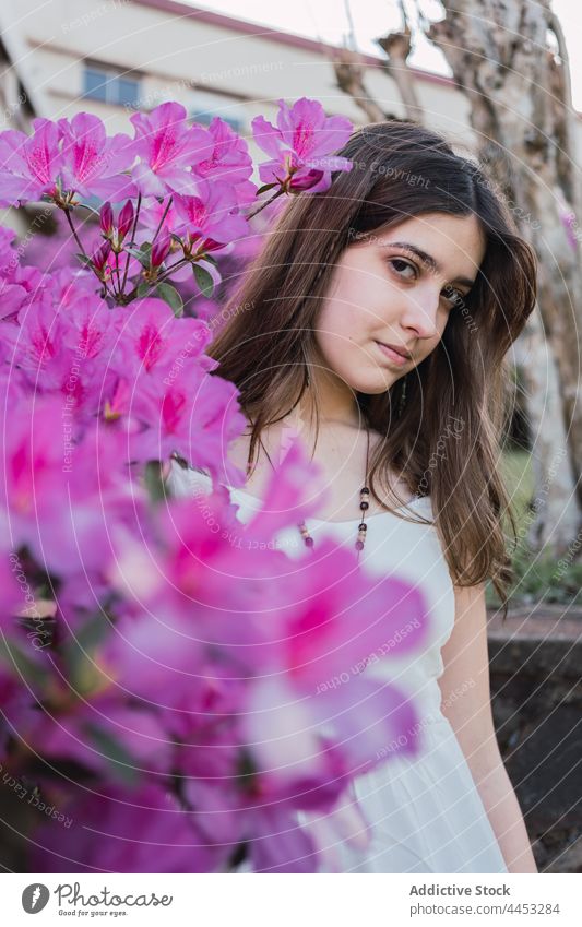 Zarter Teenager gegen blühende Blumen im Stadtpark Blütezeit natürlich sanft romantisch Angebot Aroma Park urban Wulst Wittern violett Flora Großstadt idyllisch