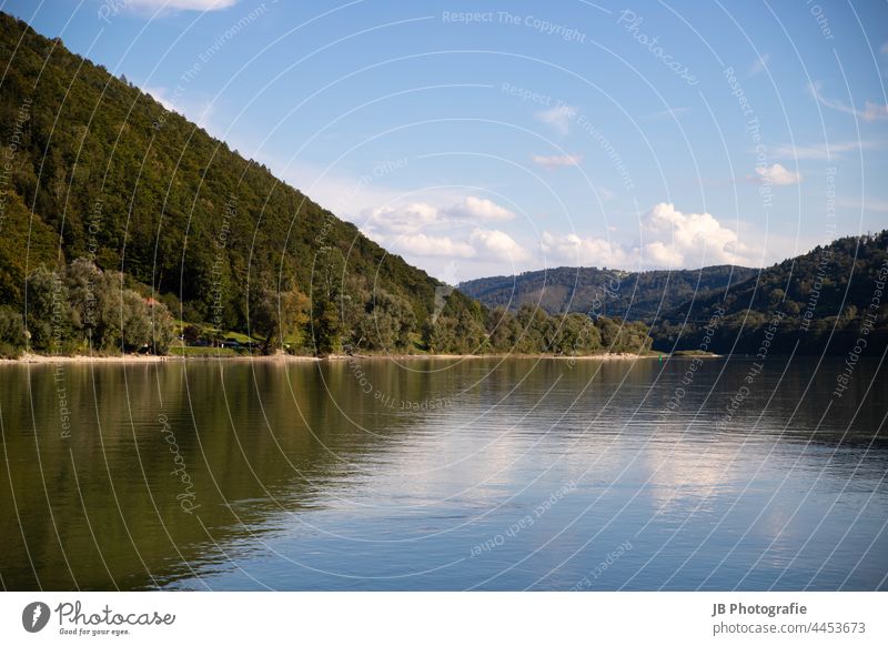 Spiegelung in der Donau Gewässer Spiegelung im Wasser Sommer Österreich Fluss Außenaufnahme grün Sonne Schatten Reflexion & Spiegelung Himmel Menschenleer Wald