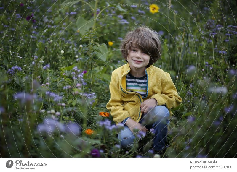 Kind sitzt in einer Blumenwiese Wiese Kindheit Natur Pflanze Sommer grün Blühend Außenaufnahme Glück glücklich natürlich Zufriedenheit Umwelt Umweltschutz