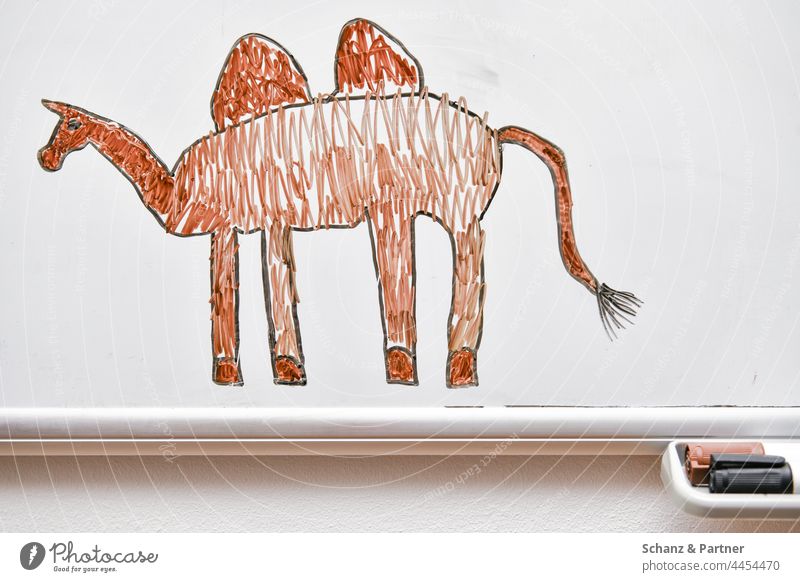 Kinderzeichnung: Kamel auf Whiteboard Tier Zeichnung Filzstifte Stifte Höcker naiv Gemälde Kunst bemalt angemalt Farbe Kreativität zeichnen malen Farbfoto