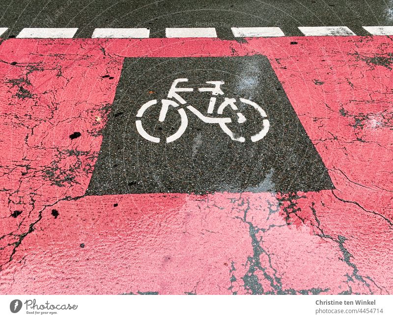 Nasser roter Fahrradweg mit Fahrrad Piktogramm Zeichen Schilder & Markierungen Hinweis nass Regenwetter Verkehrswege Wege & Pfade Straße Asphalt