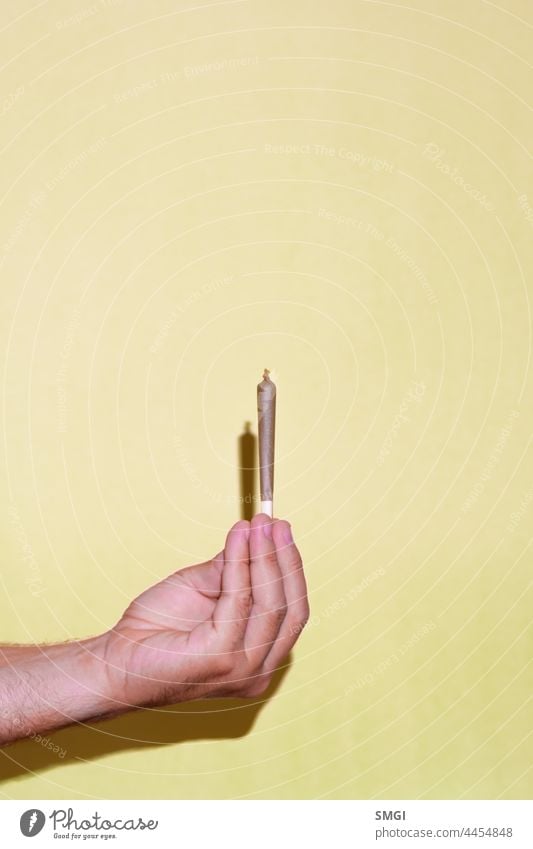 Vertikale Fotografie einer Hand, die einen Cannabis-Joint hält, auf gelbem Hintergrund. Medikament Medizin medizinisch legal therapeutisch Hanf grün Kräuterbuch