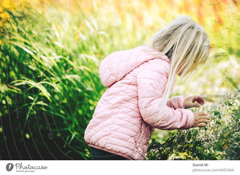 Mädchen betrachtet Blumen einer Blumenwiese Frühling lieblich niedlich erkunden Kind sommerlich hübsch interessiert Glück Kindheit Natur fröhlich Lebensfreude