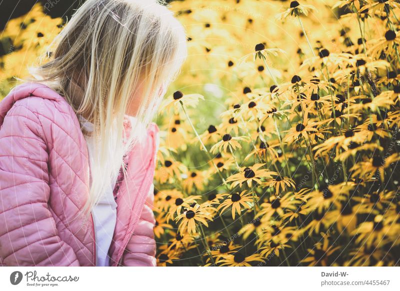 Mädchen betrachten Blumen in einer Blumenwiese Kind Sonnenlicht Sonnenschein schön duften riechen Natur niedlich hübsch