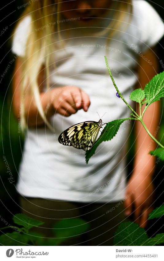 Kind zeigt auf einen Schmetterling Natur erkunden Finger zeigen Insekt Tier finden neugierig Naturerlebnis Mädchen niedlich