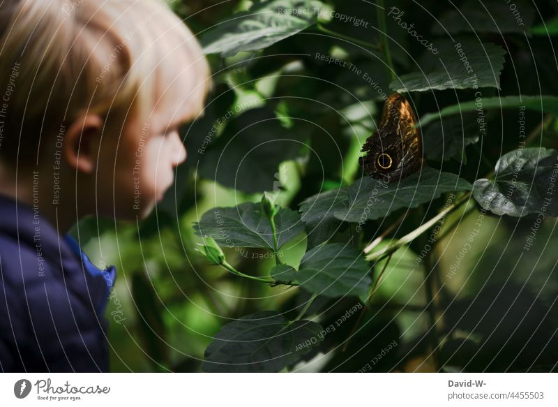 Kind erkundet die Welt fasziniert erkunden Schmetterling Tier neugierig niedlich Natur beeindruckt vorsichtig beobachten Junge