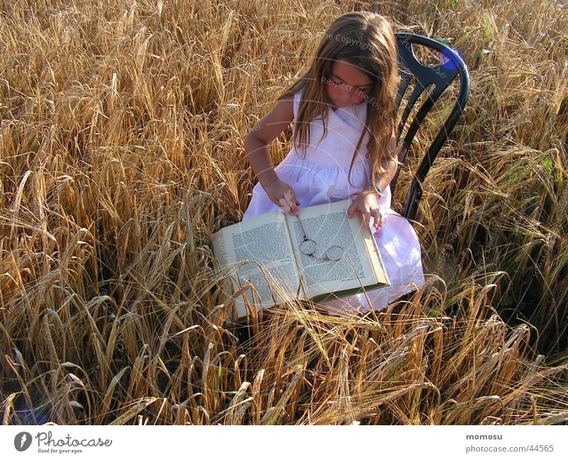 feld - studie Lorgnon Kind lesen Hand Buch Mädchen Sommer Sessel lernen Haare & Frisuren Monokel Getreide