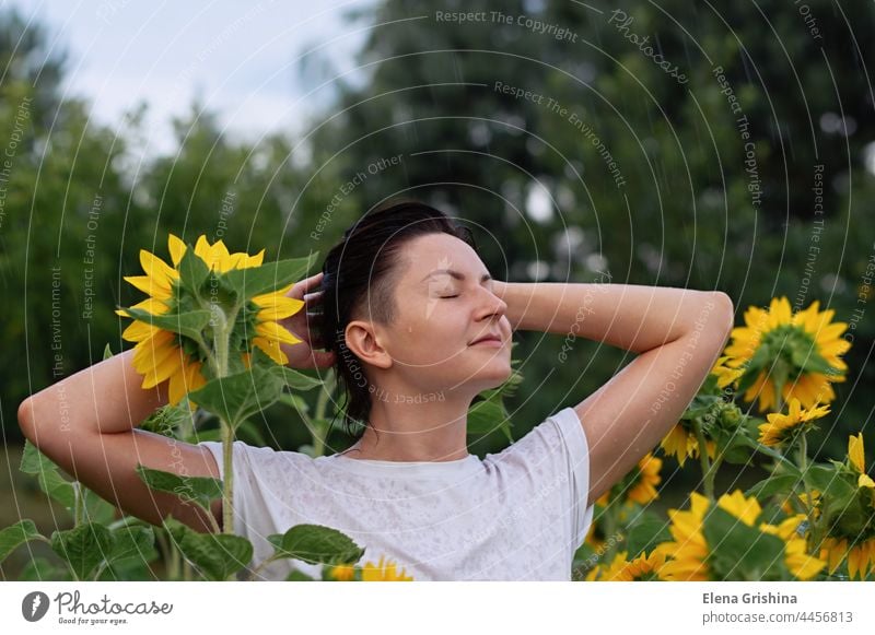 Ein junges Mädchen steht im Sommerregen auf einem Feld mit Sonnenblumen. Regen nass weiß Hemd nasse Kleidung Tropfen Glück geschlossene Augen nasses Haar