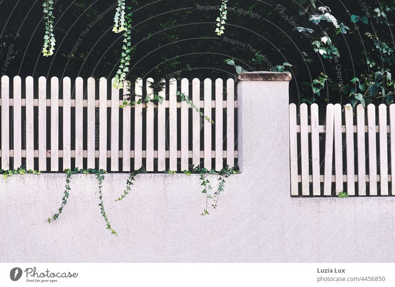 Mauer und Zaun herbstlich, einer der Zaunpfähle anlehnungsbedürftig Zaunpfahl krumm schräg weiß grün Efeu Außenaufnahme Herbst Tag alt
