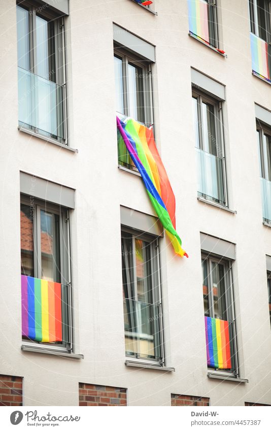 bunte Fahnen in Regenbogenfarben als Zeichen für Freiheit der sexuellen Orientierungen Flagge regenbogenfarben sexuelle orientierung Toleranz Fenster